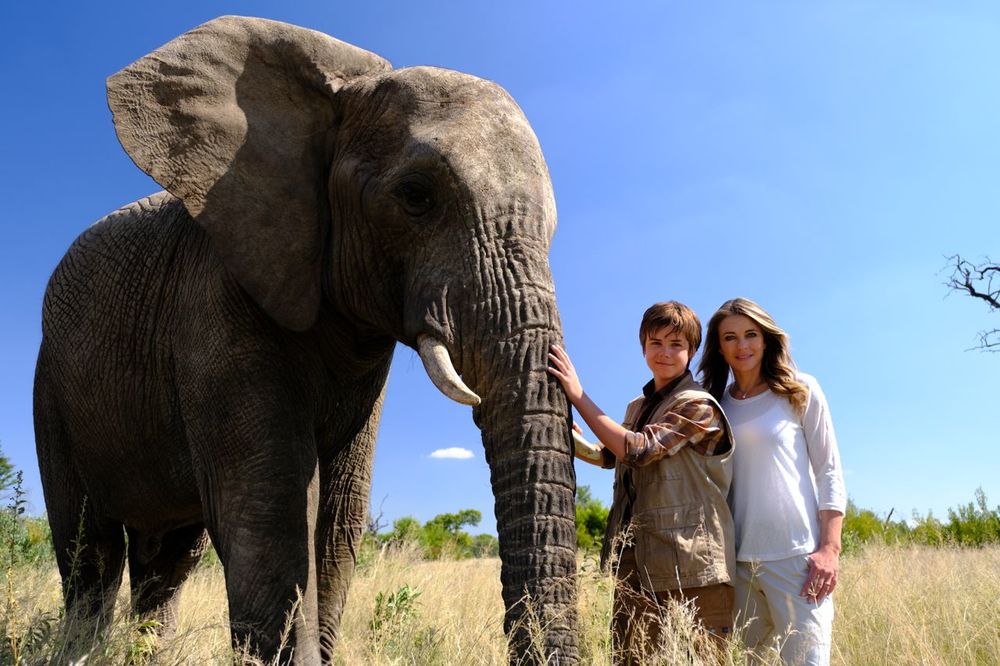 Il ragazzo e il grande elefante attori