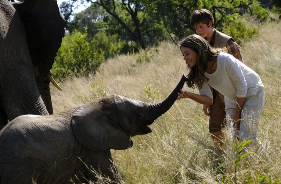 Il ragazzo e il grande elefante wikipedia