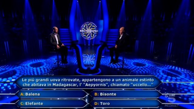 Stefano Caligione alla dodicesima domanda