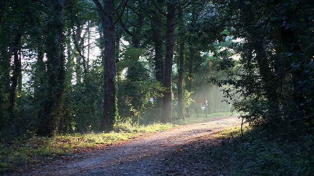 Linea blu 20 giugno parco circeo