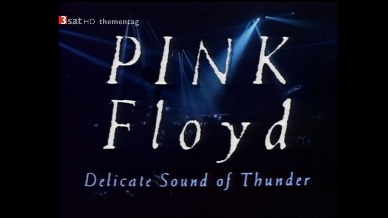 Pink Floyd delicate sound of Thunder