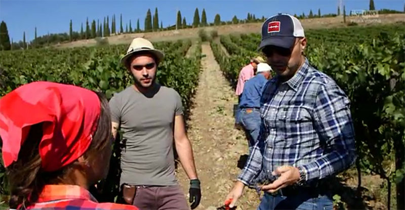 masterchef italia6 23marzo vendemmia