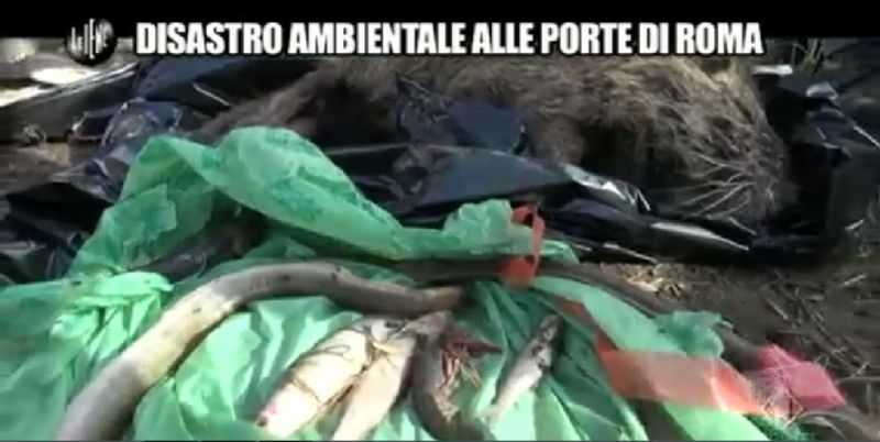 servizio Agresti