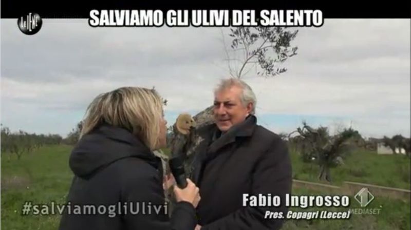 servizio Toffa