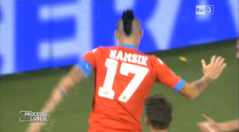 PL2408HAMSIK