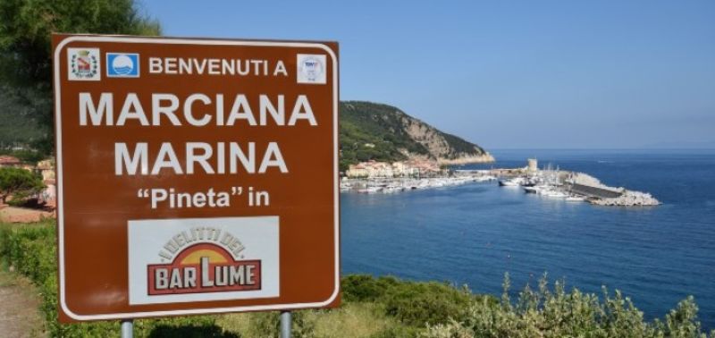 I delitti del BarLume La loggia del cinghiale