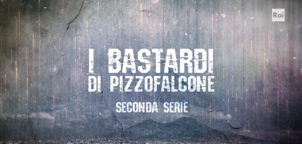 I Bastardi di Pizzofalcone 2