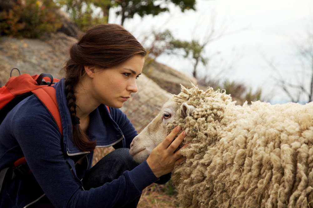 Katie Fforde - Un amore di lana