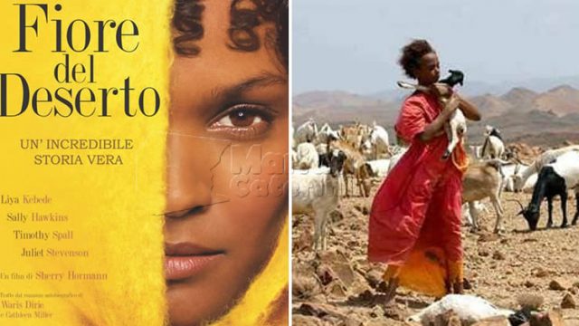 Fiore Del Deserto Film Attori Trama Cast Finale Dove Girato 