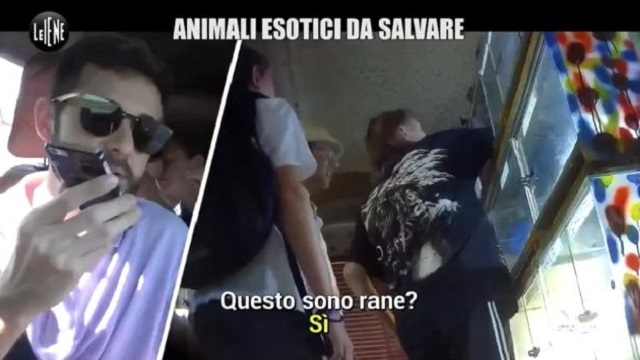 Le Iene Show negozio di animali