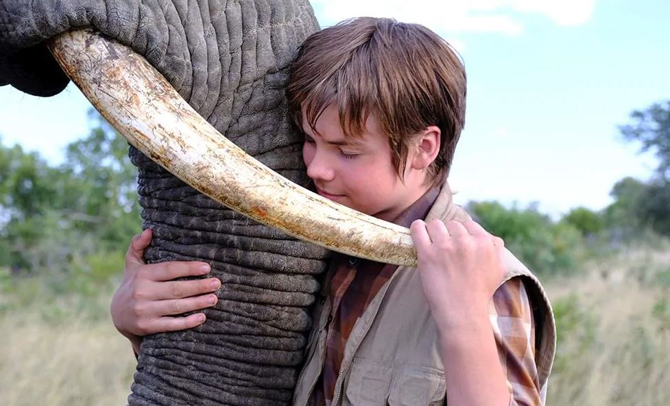 Film Tv Natale 2019 Il ragazzo e il grande elefante