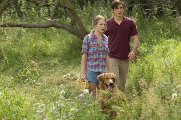 Qua la zampa film Canale 5