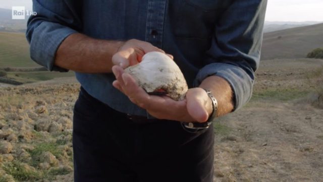 Alberto Angela con un fossile 