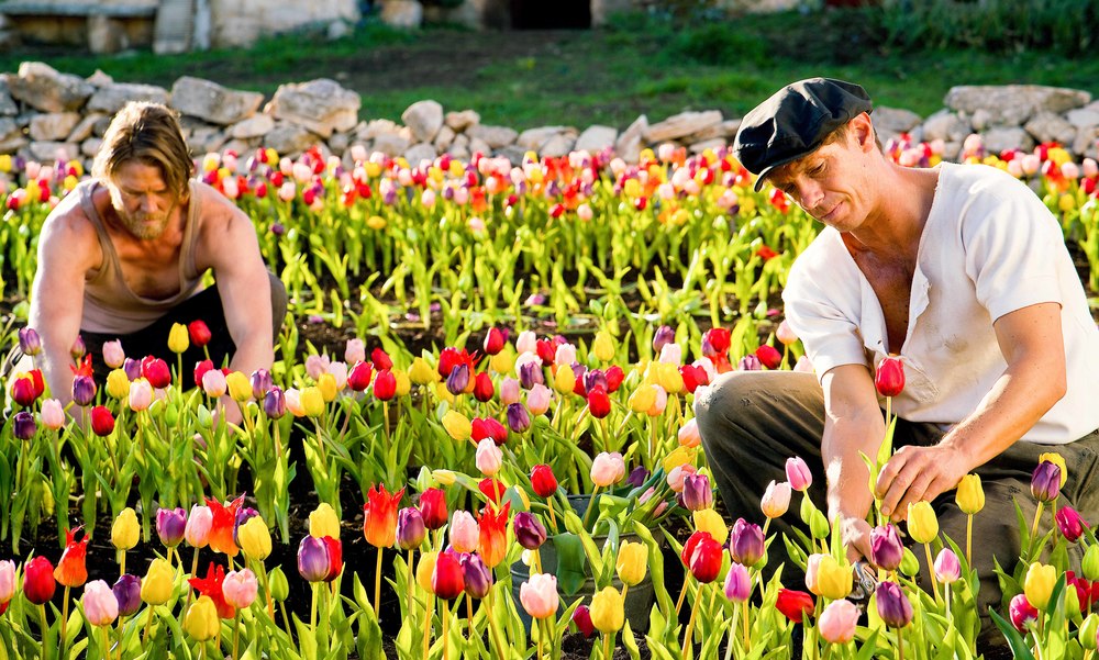 Tulipani Amore onore e una bicicletta attori