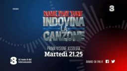 Indovina la canzone Tv8