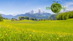 Melaverde 6 settembre nuova edizione