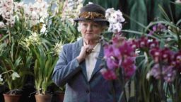 Miss Marple Perché non l'hanno chiesto a Evans Paramount Network