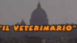 Il veterinario film Rai Premium