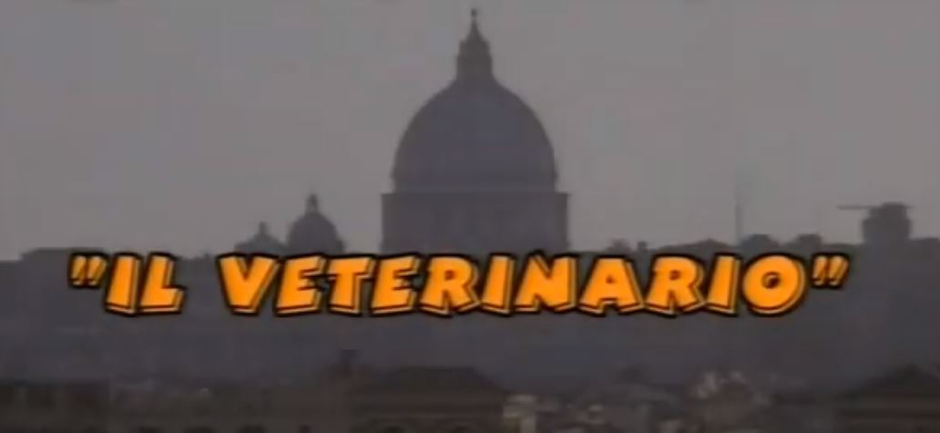 Il veterinario film Rai Premium