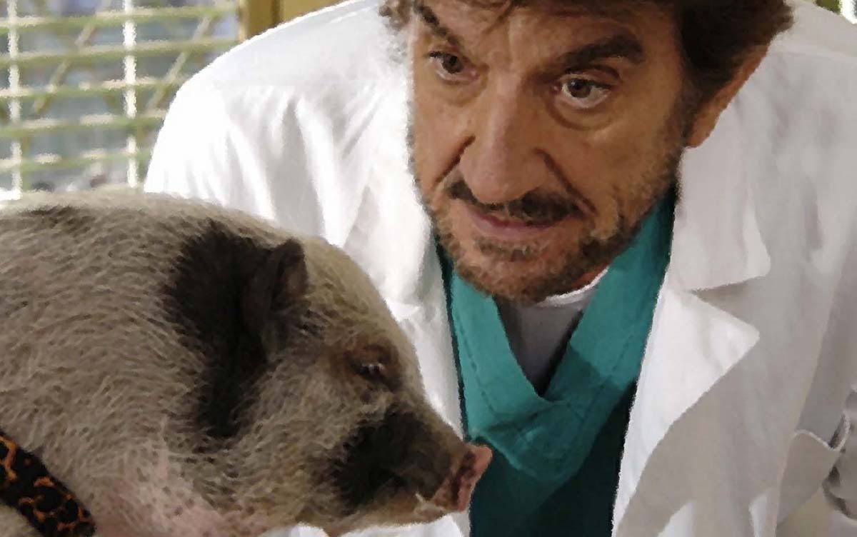 Il veterinario film attori