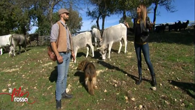 Il filo rosso diretta 21 novembre michele