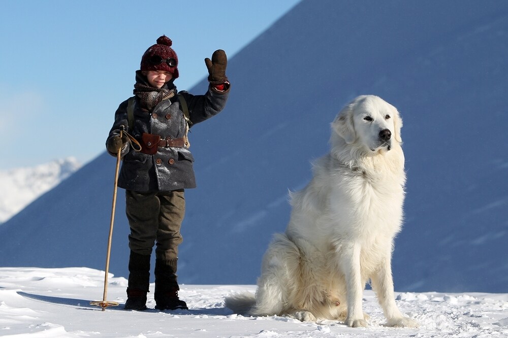 Belle e Sebastien film Rai 1