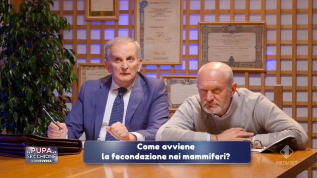 la pupa e il secchione e viceversa 4 febbraio interrogatorio