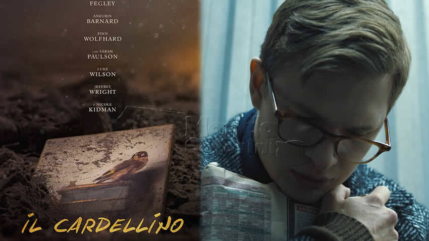 Il Cardellino film Canale 5