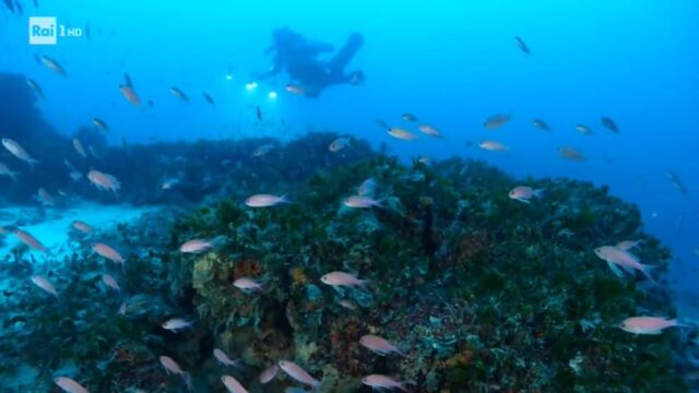 Linea Blu 15 maggio mare Ponza