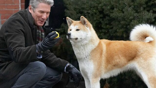 Stasera in tv domenica 23 maggio 2021 hachiko