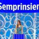 Reazione a catena semprinsieme Rai 1