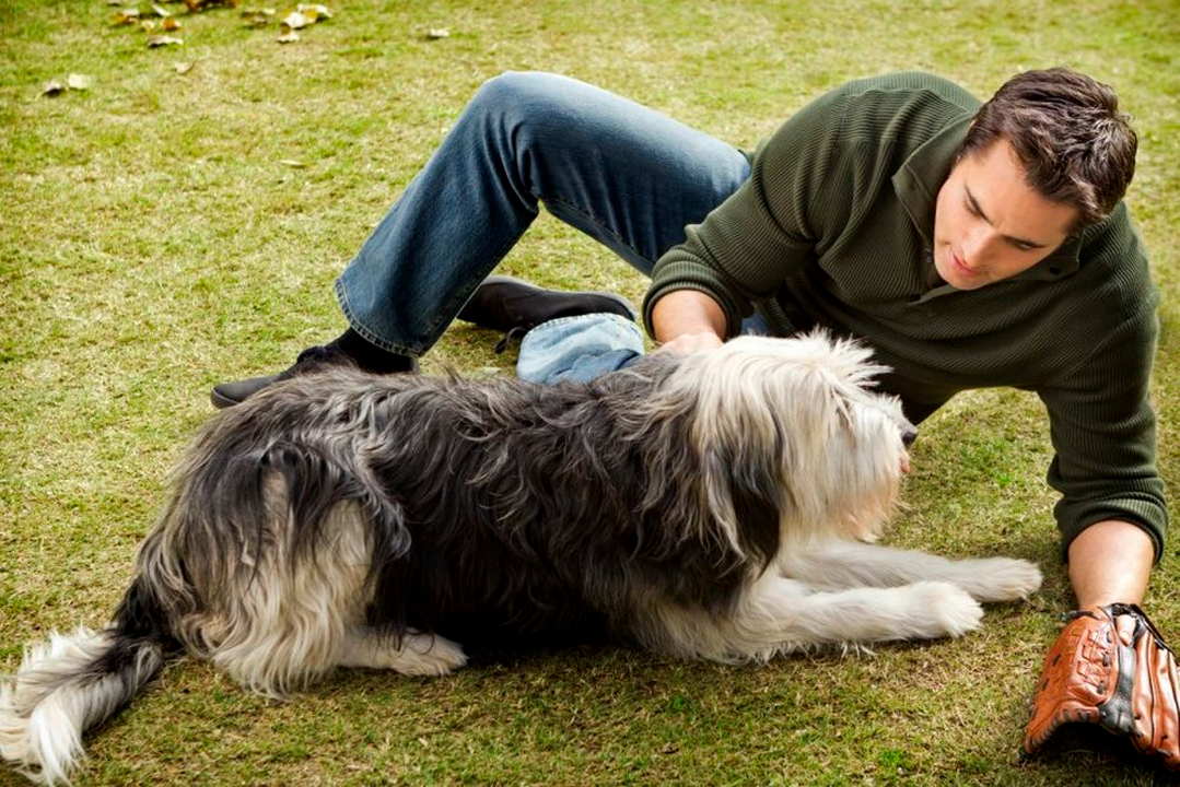 Un cucciolo per due film attori