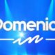 Domenica In 17 ottobre cover
