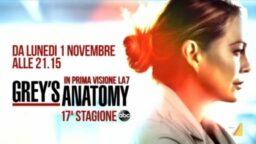 Grey's Anatomy 17 data inizio cover