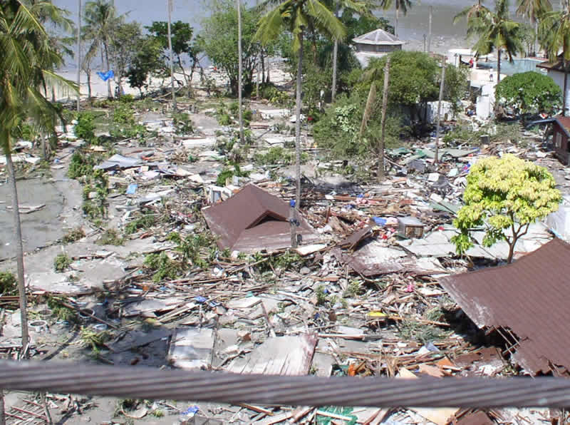 Ossi di seppia Tsunami