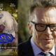Pegasus magico pony film Paramount Network