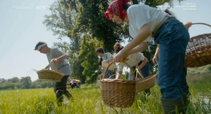 Wild Teens Contadini in erba le risaie