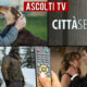 Ascolti TV domenica 2 gennaio 2022