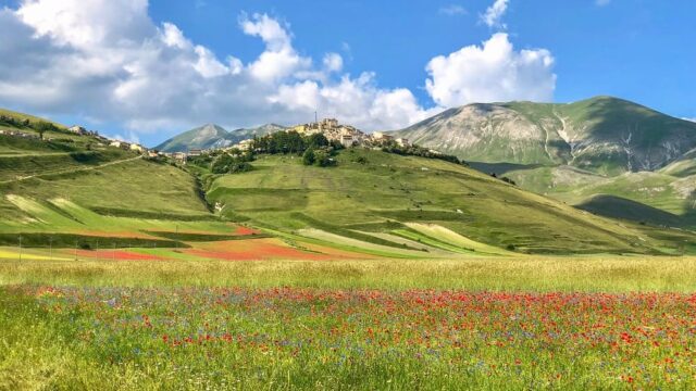 Linea Bianca 8 gennaio 2022 Castelluccio