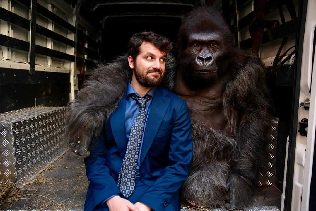 Attenti al gorilla film finale