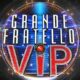 Grande Fratello Vip 14 febbraio cover