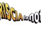 Striscia la notizia Silvia Toffanin cover