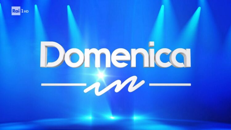 Domenica In 15 maggio logo