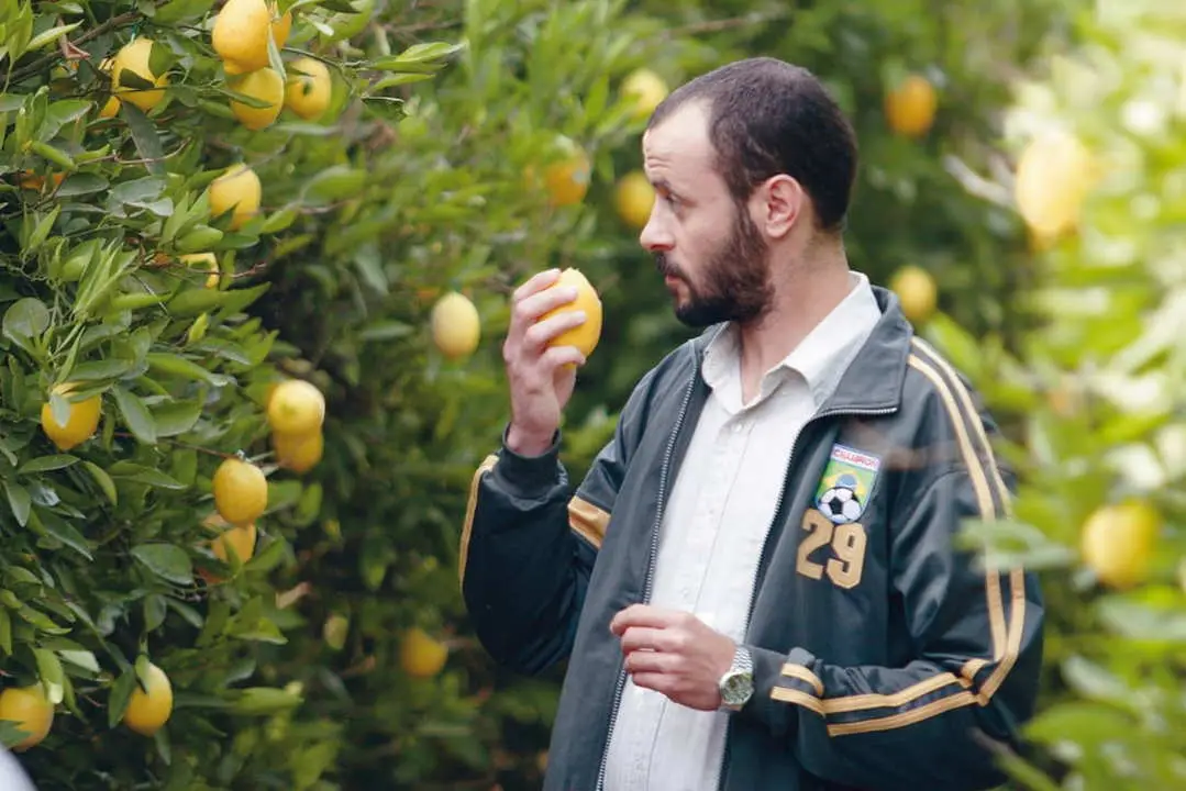 The movie where the lemon garden is shot