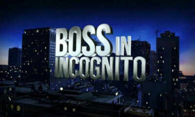 Boss in Incognito settima stagione logo