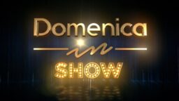 Domenica In Show 27 maggio