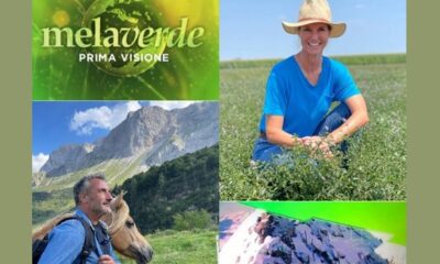 Melaverde 4 settembre