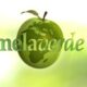 Melaverde puntata 6 novembre