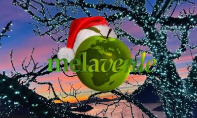 Melaverde 4 dicembre