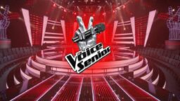 The Voice Senior 3